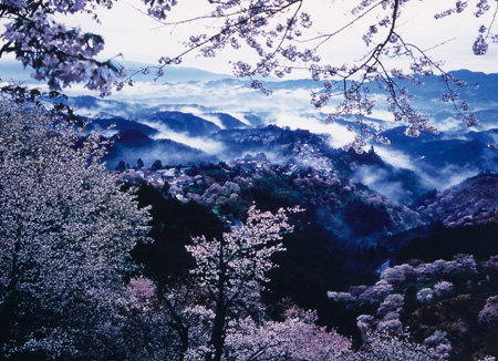 世界遺産登録をめざす霊場・吉野山の風景